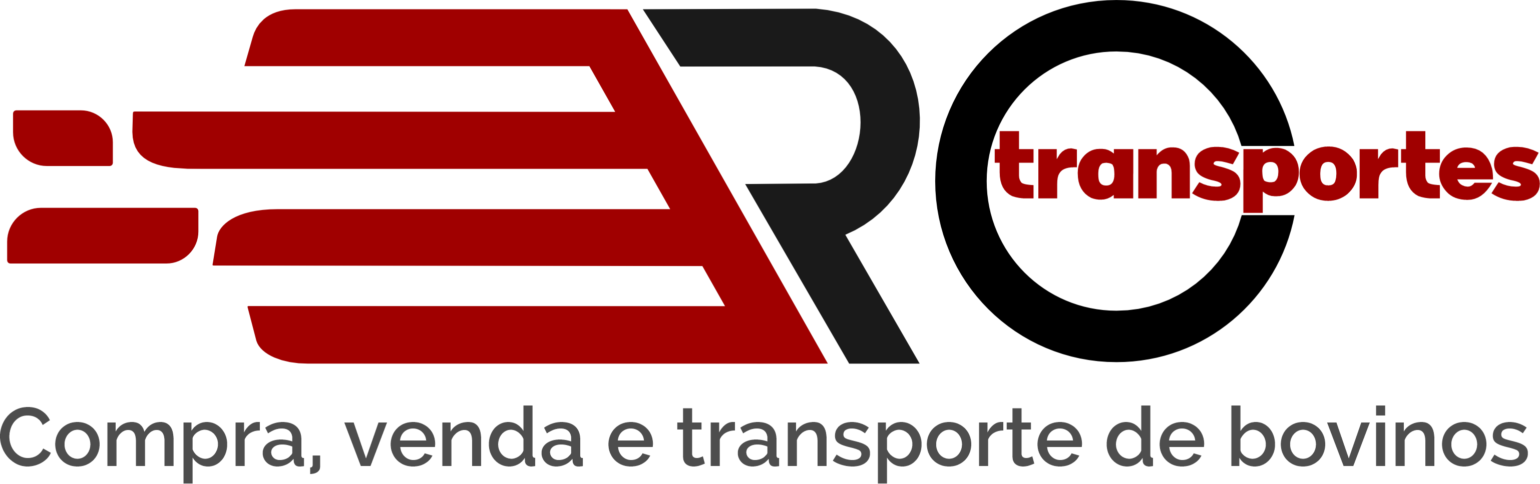 Ro Transportes